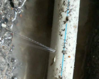 南湖卫生间测漏水多少钱